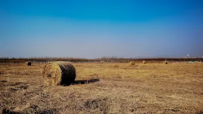 Casino Lucky Pants Bingo Mobilapp